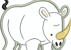 08 rhino